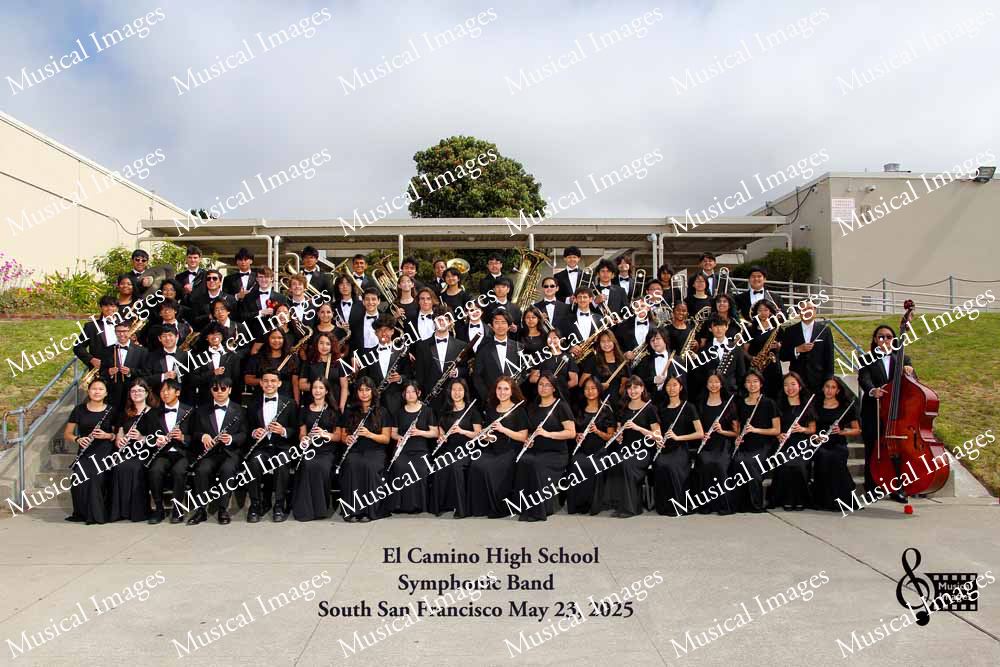 Musical Images